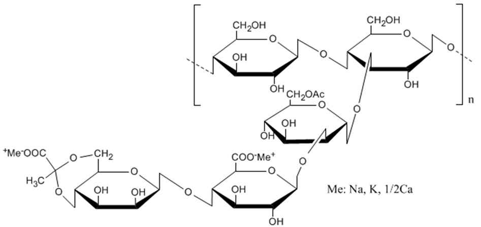Xanthan gum structure