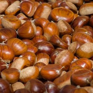 chestnut flavour