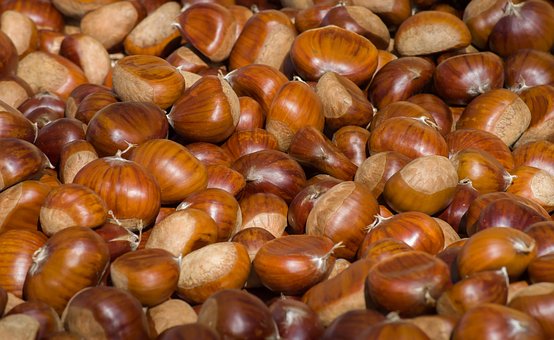 chestnut flavour