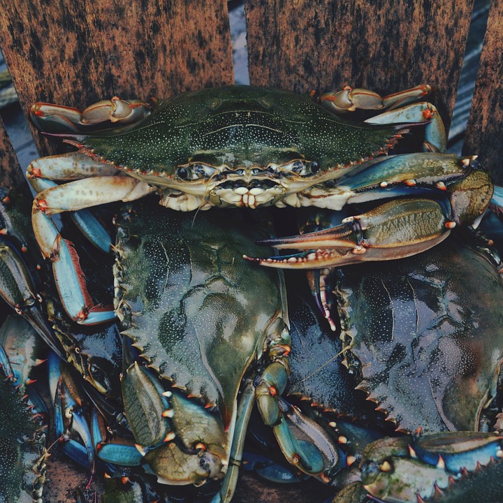 crab flavour