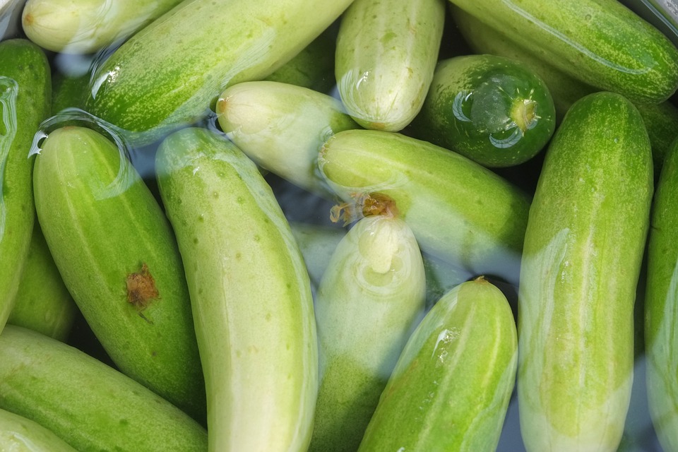cucumber flavour