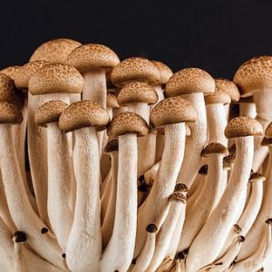 mushroom flavour