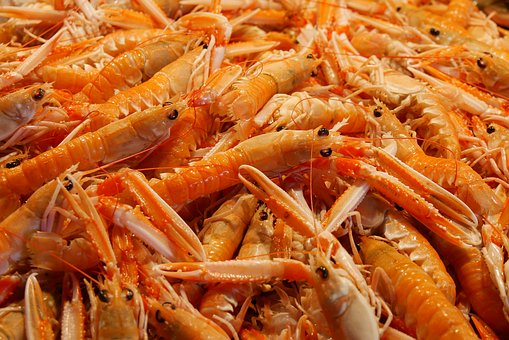 shrimp flavour
