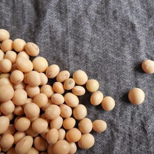 soybean flavour