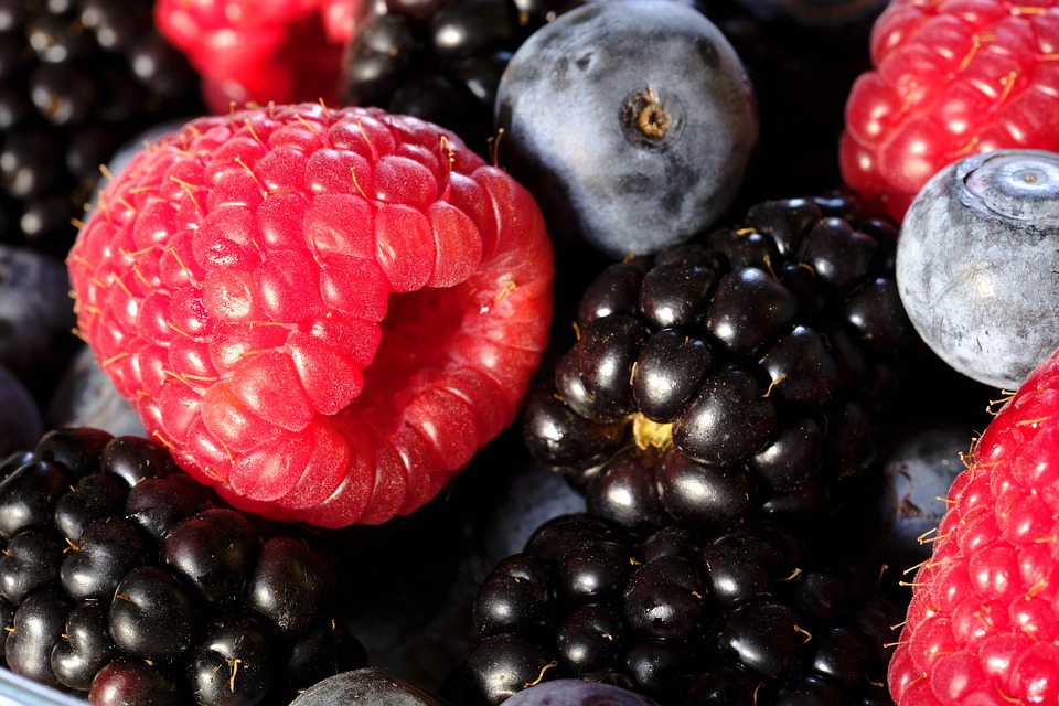 wild berrie flavour